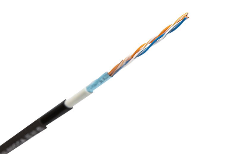 FTP CAT5E 2 Pair Of Double Sheath Lan Cable