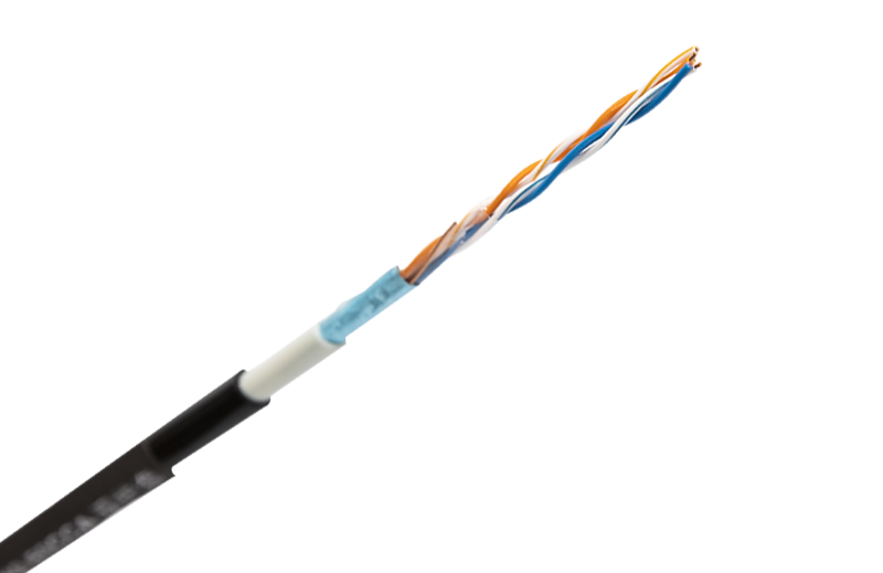 FTP CAT5E 2 Pair Of Double Sheath Lan Cable